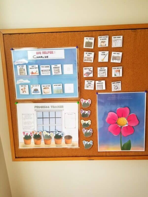 visual routine charts with words and hand drawn pictures on each card to assign daily tasks. Progress trackers in flower them. planting flowers in the flower pot and adding petals to a flower as tasks completed.