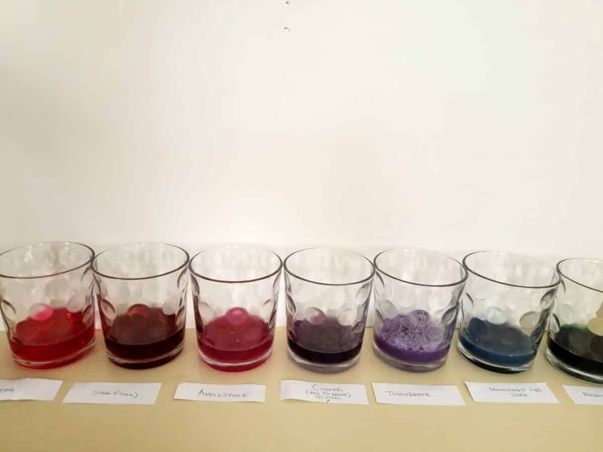 Science Experiment Homemade PH Test Sunshine and Clover 123