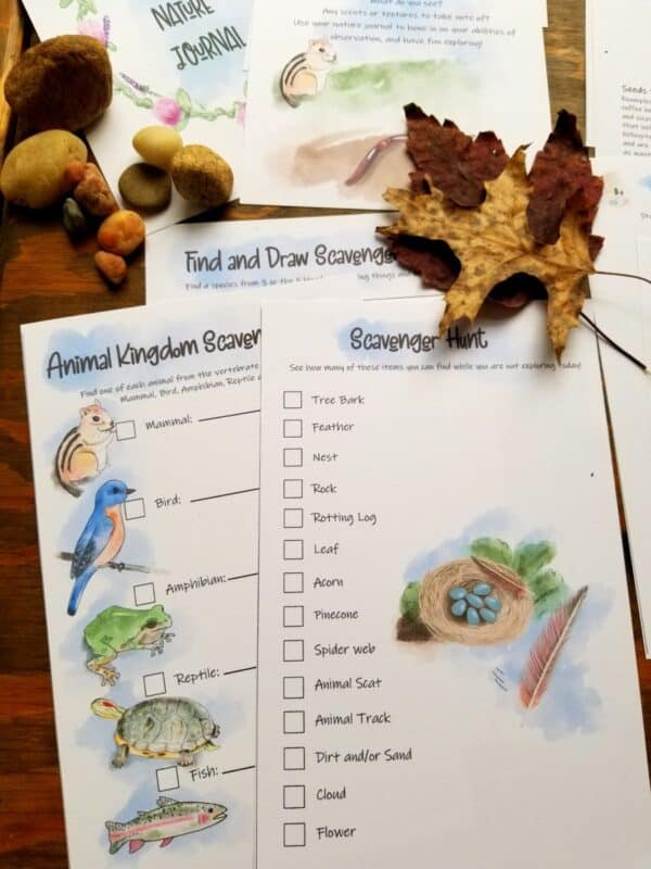 Nature journal for children includes animal and insect themed scavenger hunts. Nature scavenger hunts also include seeds and other various things found out in nature.