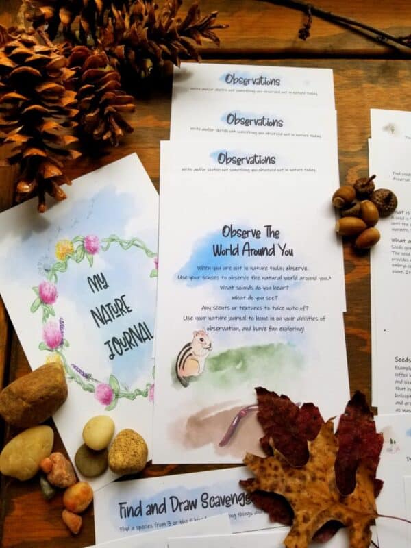 Nature Journal study unit includes observation pages, scavenger hunts, drawing pages, and mileage tracker
