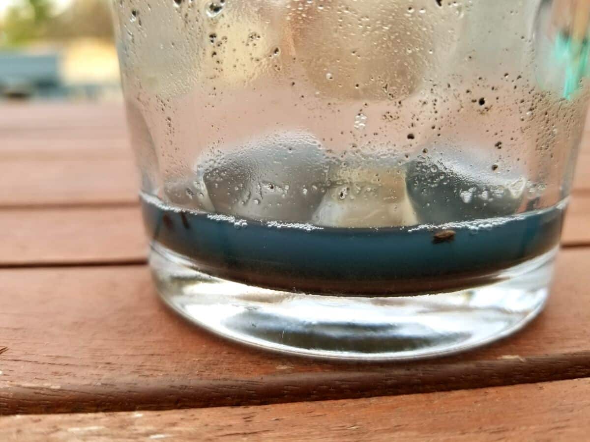 Science Experiment Homemade PH Test Sunshine and Clover 123