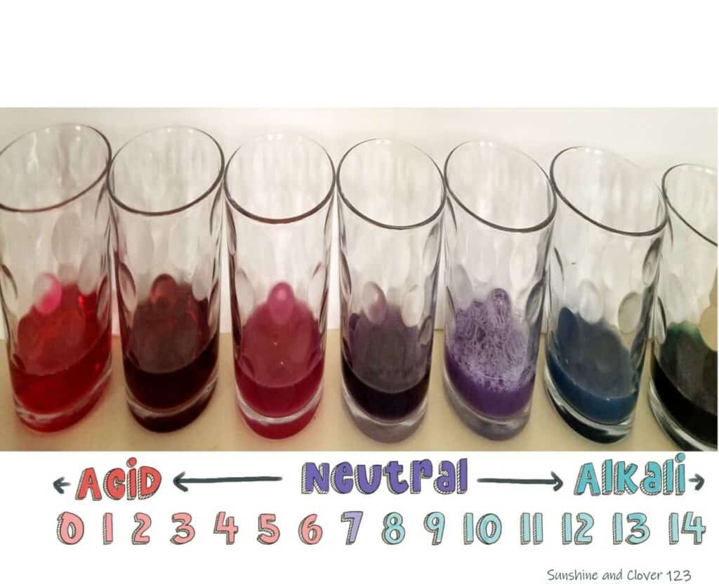 pH scale with Red cabbage indicator testing