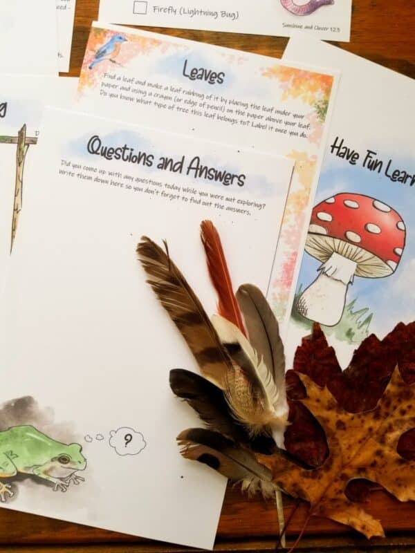 printable nature journal includes hiking log, a mapping activity , a leaf rubbing page and a questions and answers page
