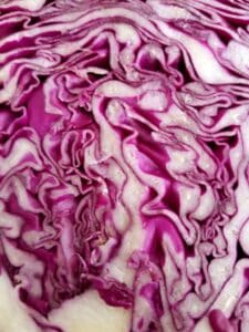 red cabbage for ph testing