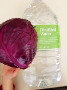 ingredient red cabbage and distilled water