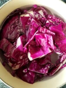 red cabbage diy ph test in water