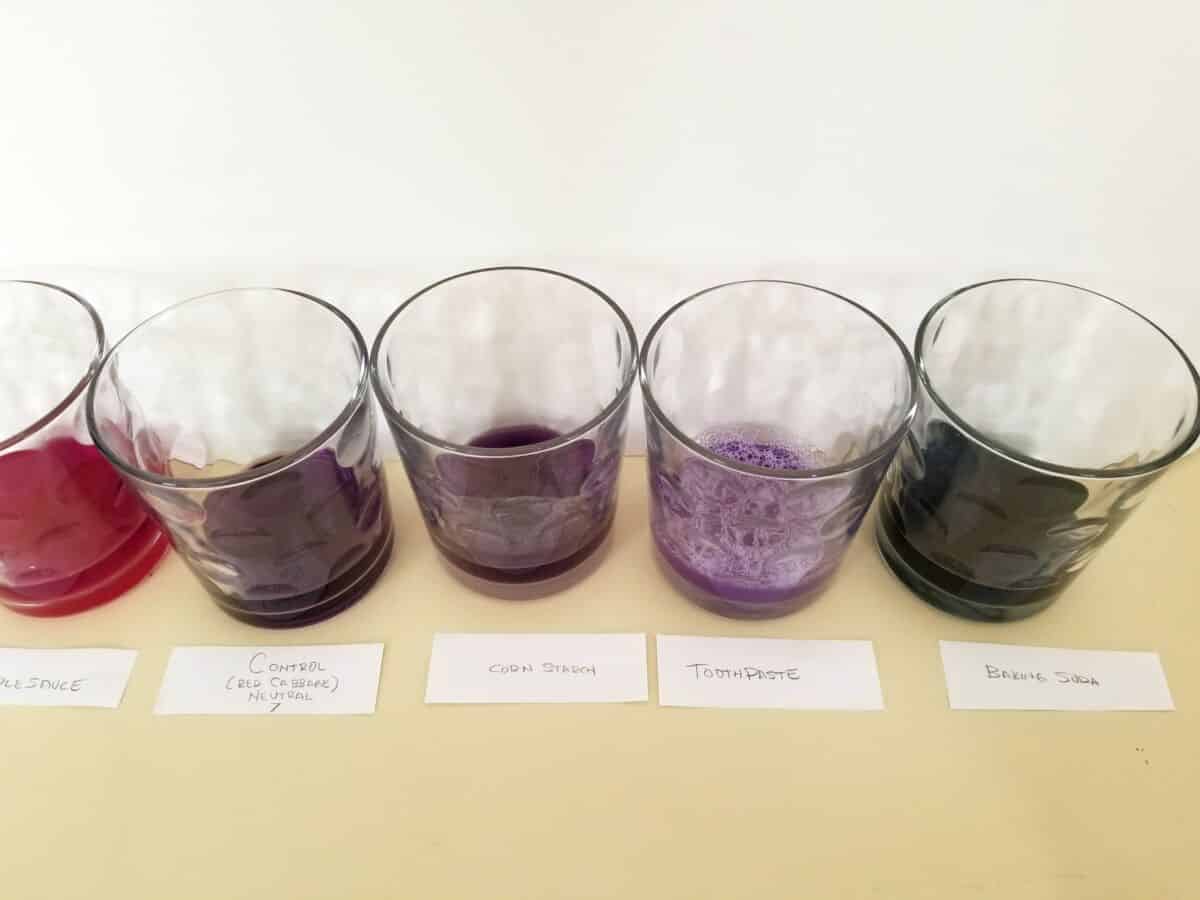 Science Experiment Homemade PH Test Sunshine and Clover 123