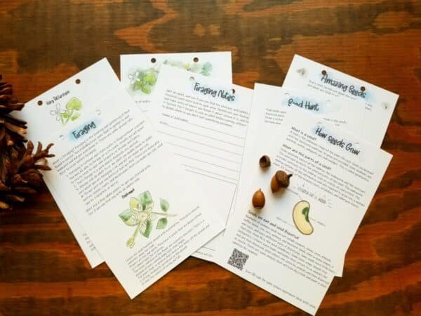 nature journaling for kids includes foraging and seeds info and activities