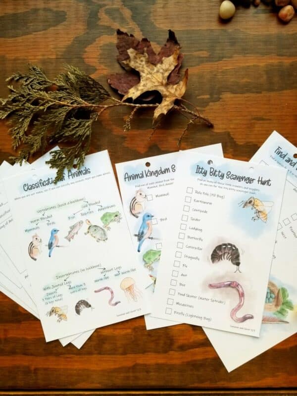 Nature journal for kids includes animal classification sheets and scavenger hunts