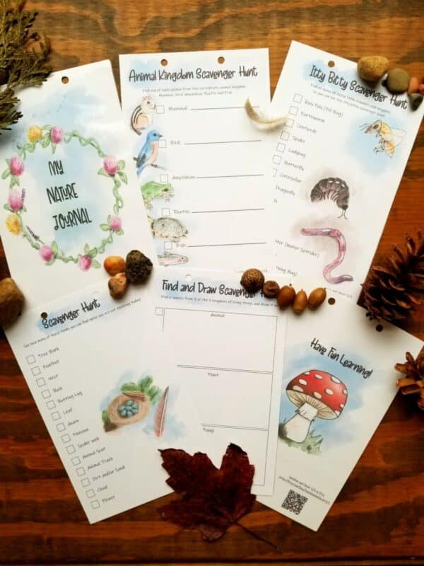 nature themed scavenger hunts. printable animal kingdom, ibugs, nature items, and find and draw scavnger hunts