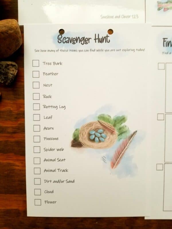 nature themed scavenger hunt with nature items
