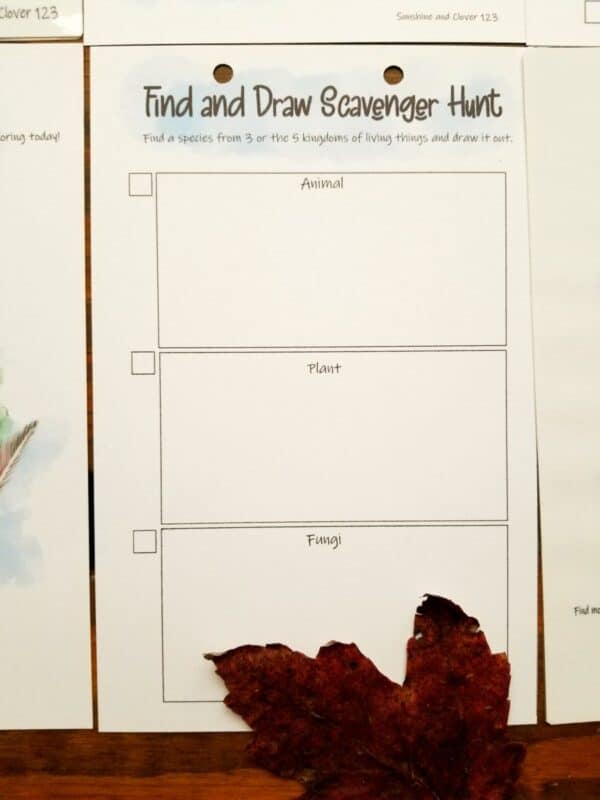 nature scavenger hunt includes a find and draw page for animals, fungi and plants