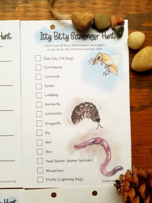 itty bitty scavenger hunt pages includes bugs to find during your scavenger hunt.