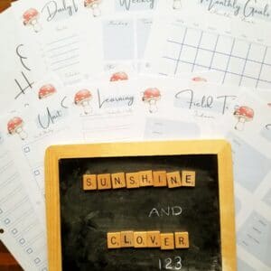 homeschool planner with mushroom theme and blue squares