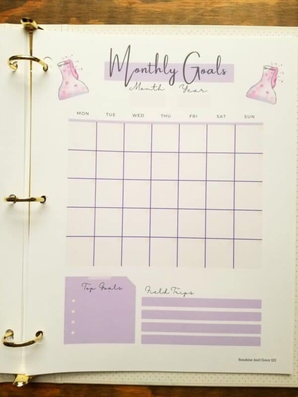 Monthly goals page in homeschool organizer. Includes additional room at bottom for notes.