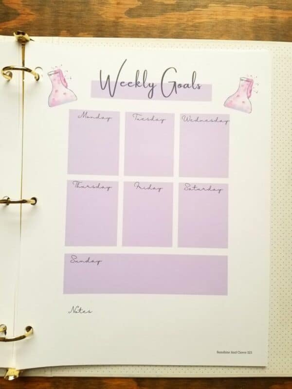 Weekly goals page in homeschool planner. Monday through Sunday blocks and additional note space.