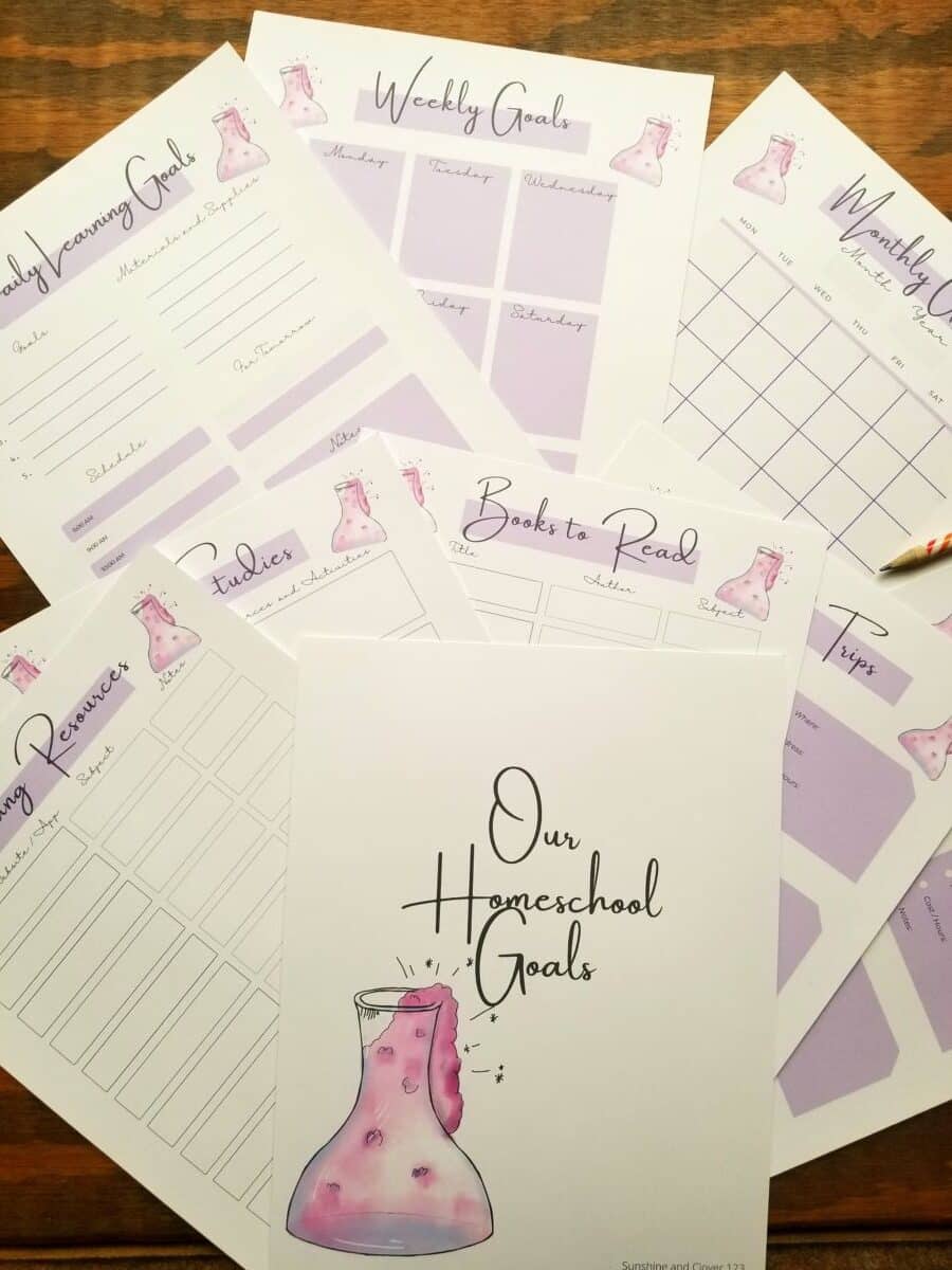 our homeschool goals bundle. pink and purple coloring throughout with hand illustrated science flask. Includes daily, weekly, and monthly goals. Unit studies, books to read, learning resources and field trip pages included for extra note taking.