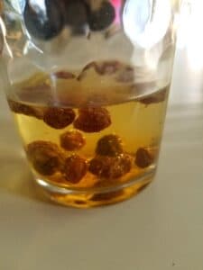 gross looking raisin water after your experiment is finished.