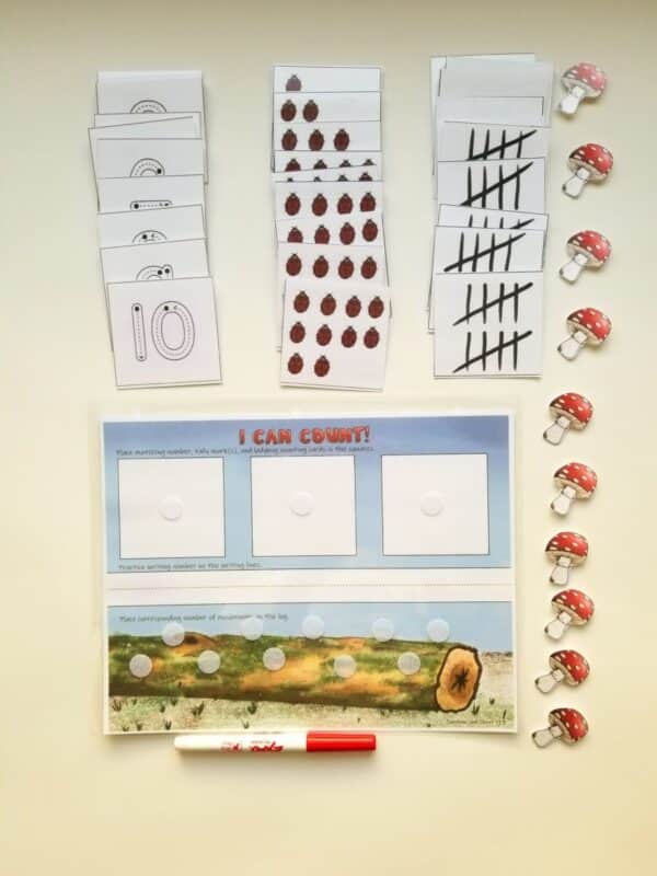 Practice counting numbers 1-10 with preschool numbers worksheets. Includes numbers 1-10 matching cards, tally marks, and lady bug counting. Space provided for writing out numbers and for placing mushrooms on a log.