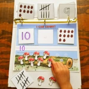 Practice counting numbers 1-10 with preschool numbers worksheets. Includes numbers 1-10 matching cards, tally marks, and lady bug counting. Space provided for writing out numbers and for placing mushrooms on a log.