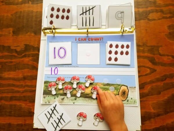 Practice counting numbers 1-10 with preschool numbers worksheets. Includes numbers 1-10 matching cards, tally marks, and lady bug counting. Space provided for writing out numbers and for placing mushrooms on a log.