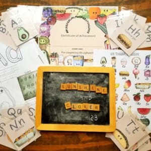 Alphabet coloring pages, alphabet flash cards, alphabet wall art and an alphabet completion chart all in matching food theme by Sunshine and Clover 123.