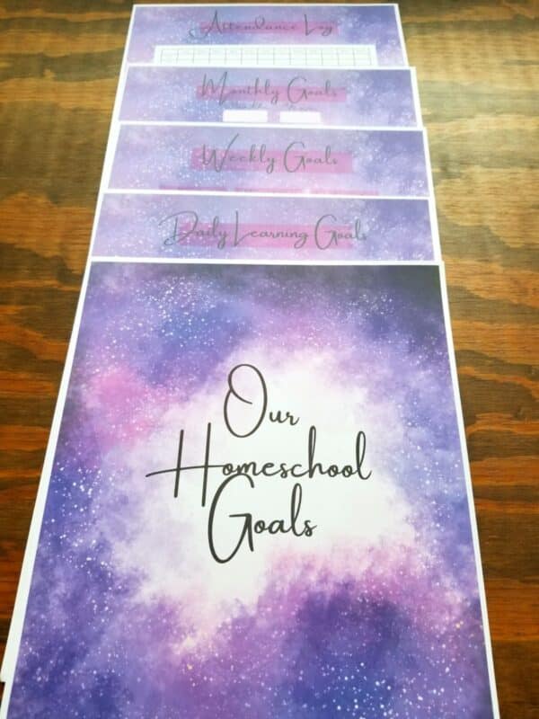 Homeschool organizer titled "Our Homeschool Goals." Planner comes with hand illustrated galaxy design carried throughout the planner pages.