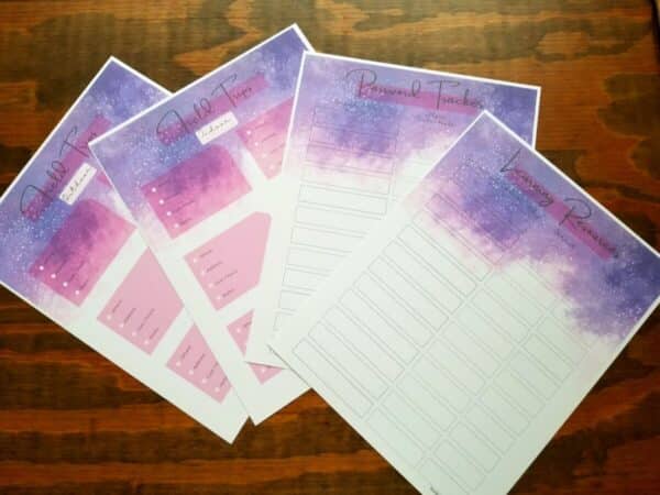 Homeschool planner includes field trip planning pages (indoor and outdoor), password tracker, and learning resources pages. Coordinator has galaxy theme and pink accenting throughout the planner.