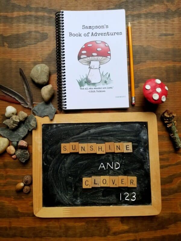 Custom mushroom notebook by Sunshine and Clover 123.