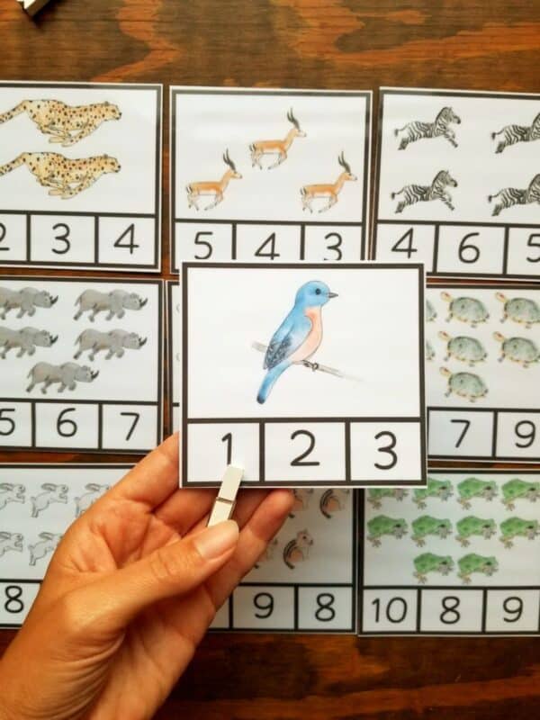 Printable count and clip cards are included for counting one through ten. Count the animal on each card and put the clothespin on the correct number of animals shown. All animals on the preschool flashcards are hand illustrated.