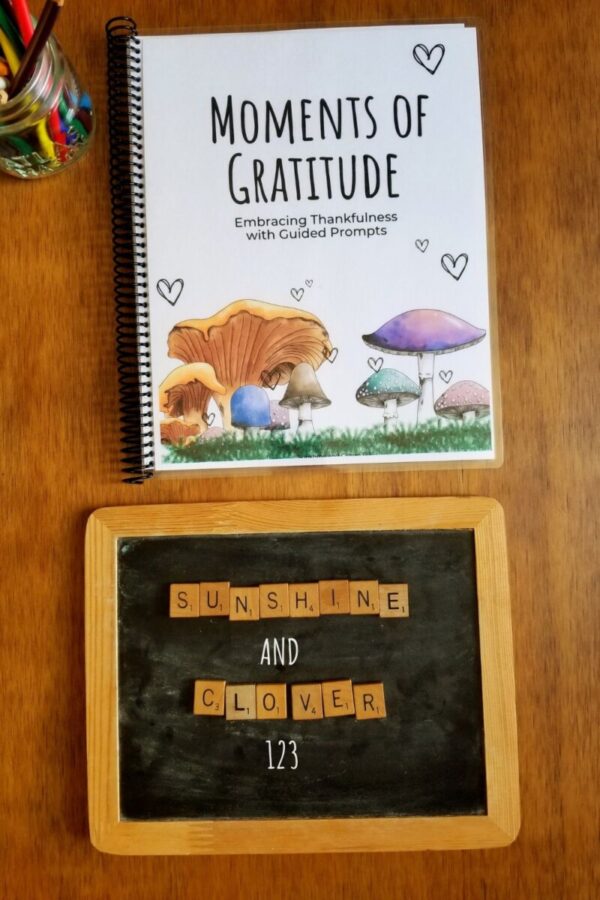 Gratitude journal features hand illustrated mushrooms and is made by Sunshine and Clover 123.