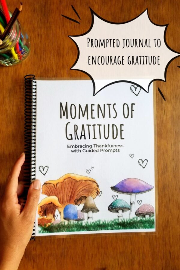 Prompted journal for gratitude comes with hand illustrated front cover. Journal features colorful mushrooms on the front cover with little playful hearts and is titled Moments of Gratitude.