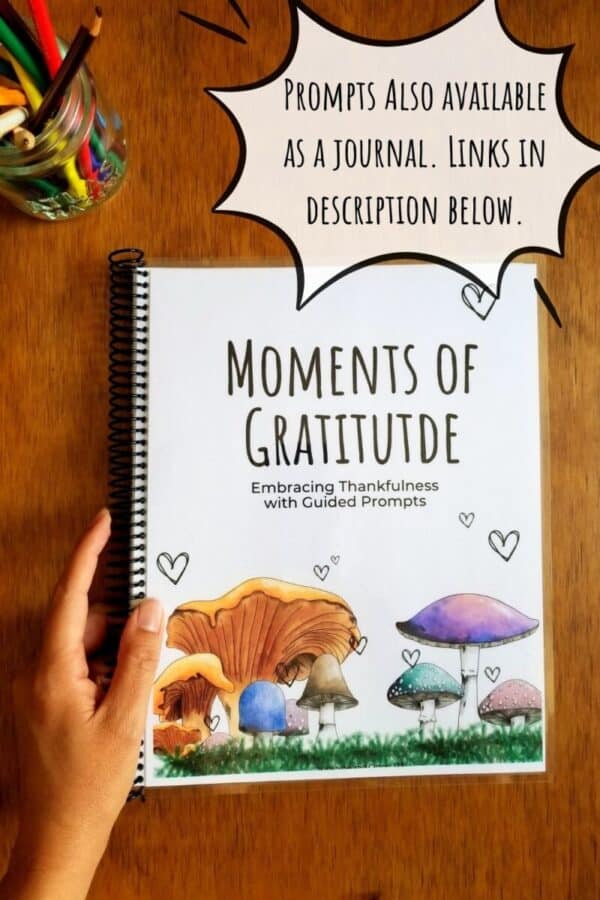 Gratitude prompts are also available as a journal with similar mushrooms design on the front cover.