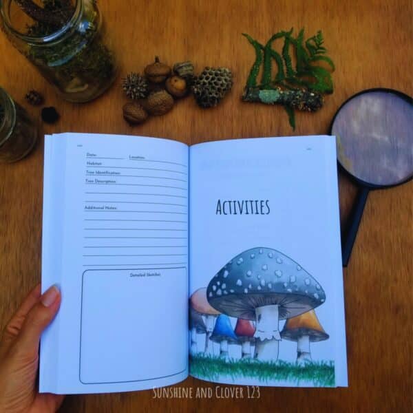 Colorful pages help to separate each section with a title of the new section and hand illustrated mushrooms. Activities section is shown here.