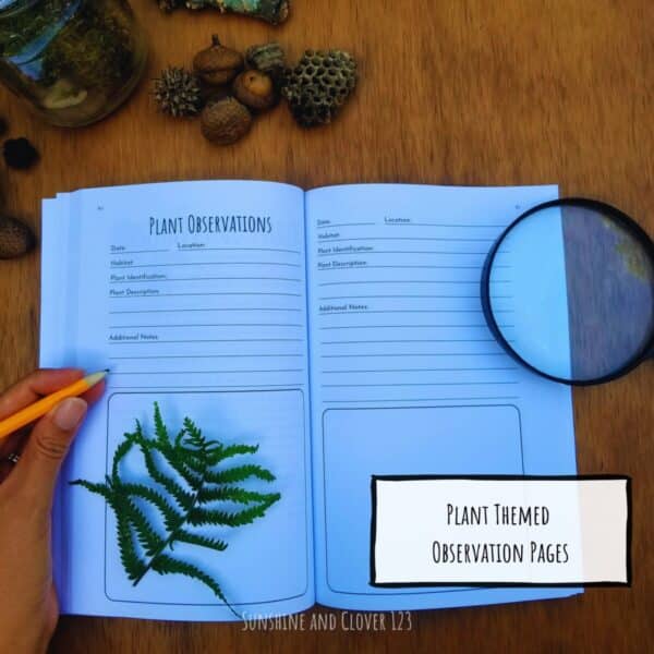 Plant observation pages are included in this nature journal. Prompts such as date, location, habitat, plant I.D, description, additional notes and drawing space are provided.