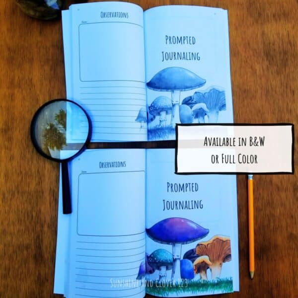 Nature journals are available in black and white or full color versions. Pages shown comparing black and white to the colorful full color interior book.