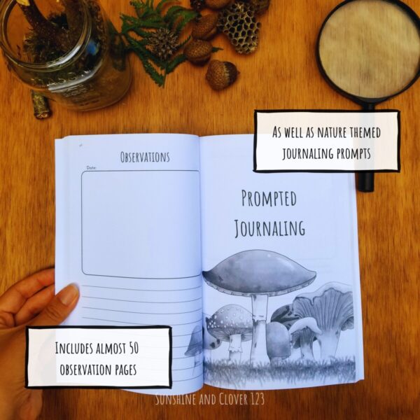 Nature journal includes almost 50 observation pages as well as prompted journaling pages. Hand illustrated mushrooms are found on the pages.